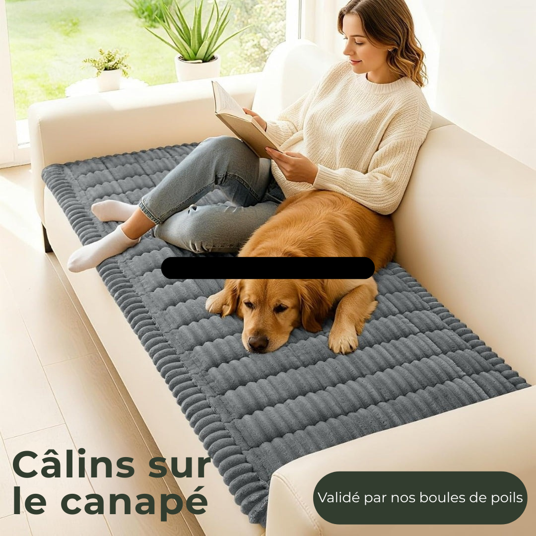 Sofa-Confort : Le Plaid Apaisant pour Animaux