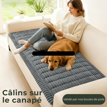 Sofa-Confort : Le Plaid Apaisant pour Animaux