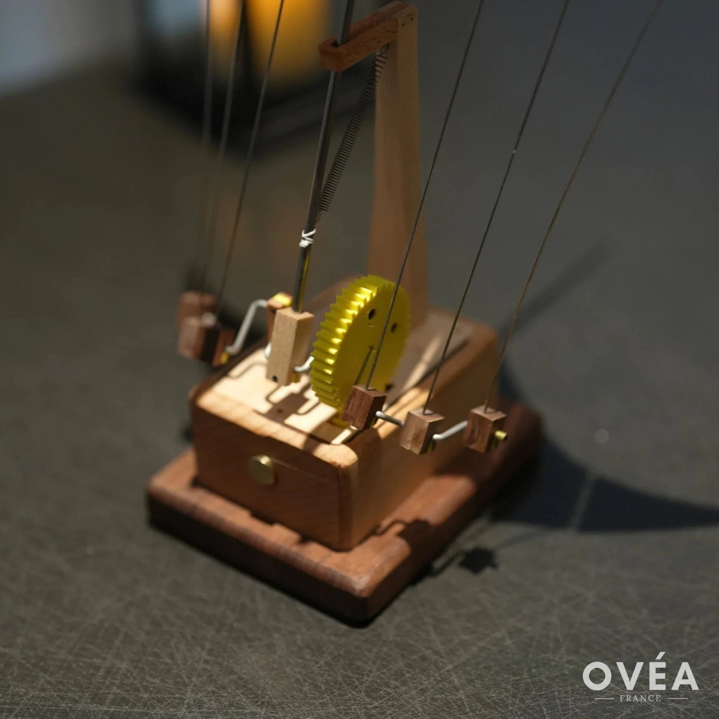 Le Ballet des Océans : Raie Manta Animée en Bois